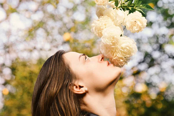 Mujer con rostros románticos olfatea rosas blancas o marfil —  Fotos de Stock