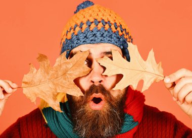 Ekim ve Kasım zaman fikri. Sonbahar ve düşen yapraklar mevsimi