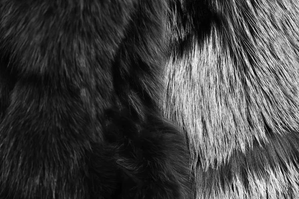 Τεχνητή γούνα για υφή ή φόντο. Οικολογική μόδα — Φωτογραφία Αρχείου