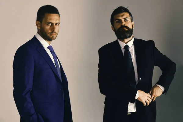 Businessmen wear smart suits and ties. Leaders settle disputes