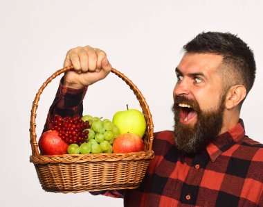 Tarım ve sonbahar bitkileri kavramı. Elma, üzüm ve kızılcık çiftçi kötü gülümseme ile sunar.