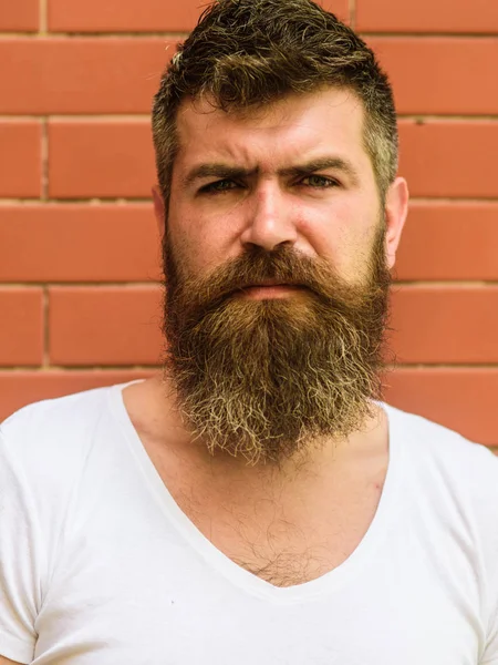 How to grow great beard. Beard grooming has never been so easy. Beard care tricks will keep your facial hair looking resplendent. Man urban style brutal bearded hipster brick wall background close up — Stock Photo, Image