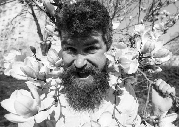 Ο τύπος με μορφασμό στο πρόσωπο λόγω λαμπερό ήλιο. Άνδρας με μούσι και μουστάκι, hipster θέτοντας κοντά magnolia λουλούδια και κλαδιά σε φόντο, ηλιόλουστη μέρα. Ηλιόλουστη μέρα έννοια. — Φωτογραφία Αρχείου