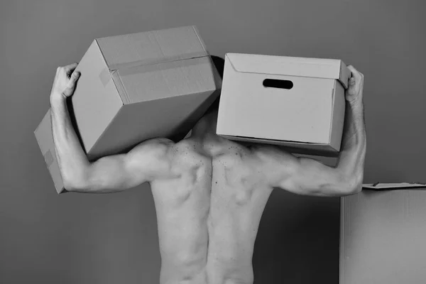Hombre con brazos fuertes entre cajas de cartón. Entrega y movimiento en concepto: chicos sexy espalda desnuda —  Fotos de Stock