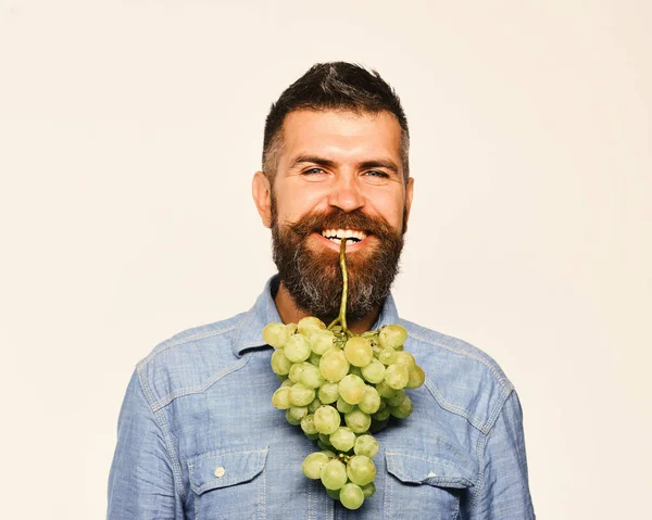 Mann mit Bart hält Strauß grüner Trauben isoliert auf weißem Hintergrund. Winzer mit lächelndem Gesicht hält Trauben in den Zähnen. — Stockfoto