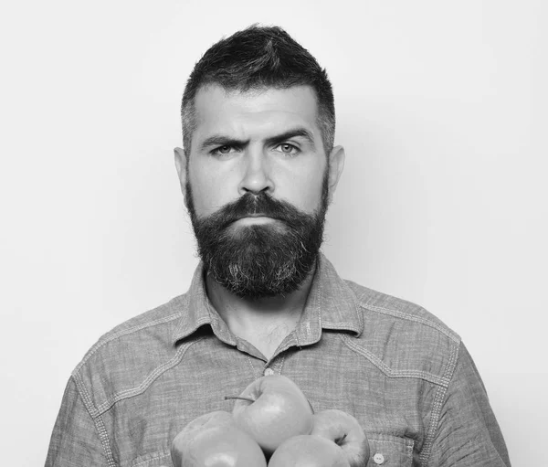 Kerl präsentiert eigene Ernte. Mann mit Bart hält rote Äpfel isoliert auf weißem Hintergrund. — Stockfoto