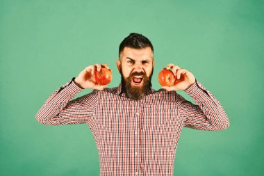 Sakallı adam kırmızı elma yeşil arka plan üzerinde izole tutar. Bahçe ve sonbahar bitkileri kavramı. Kızgın yüz ile çiftçi