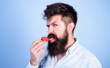 Erotik kavramı. Oral muamele. Yani nasıl tadı yaz. Adam yalama tatlı meyve. Adam yakışıklı seksi çilek dil yalama uzun sakallı hippi. Hipster zevk sulu olgun kırmızı çilek