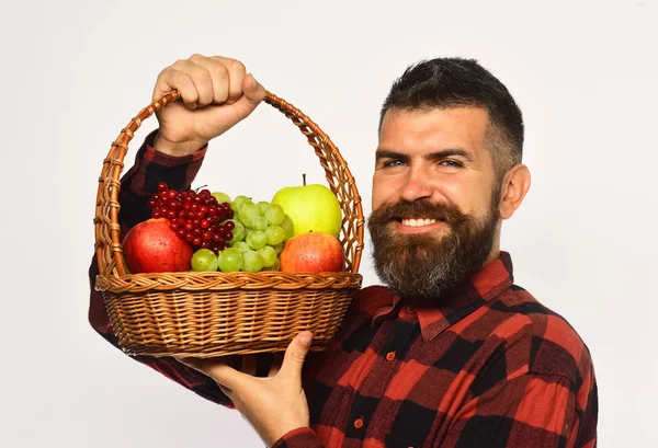 Farming and gardening concept. Guy holds homegrown harvest. Man with beard holds fruit basket