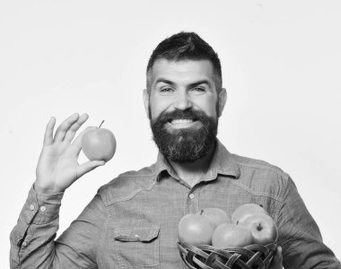 Adam homegrown hasat sunar. Tarım ve sonbahar bitkileri kavramı. Sakallı