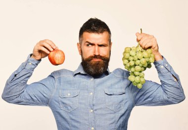 Şarap yapımı ve sonbahar meyve kavramı. Sakallı grup yeşil üzüm ve elma tutar