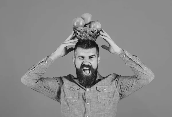 Hombre con barba sostiene cuenco de mimbre con fruta aislada sobre fondo azul. Cultivos agrícolas y otoñales. Guy presenta cosecha casera . —  Fotos de Stock