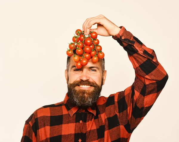 Farmer with happy face holds bunch of cherry tomatoes. Guy shows his harvest. Farming and gardening concept.
