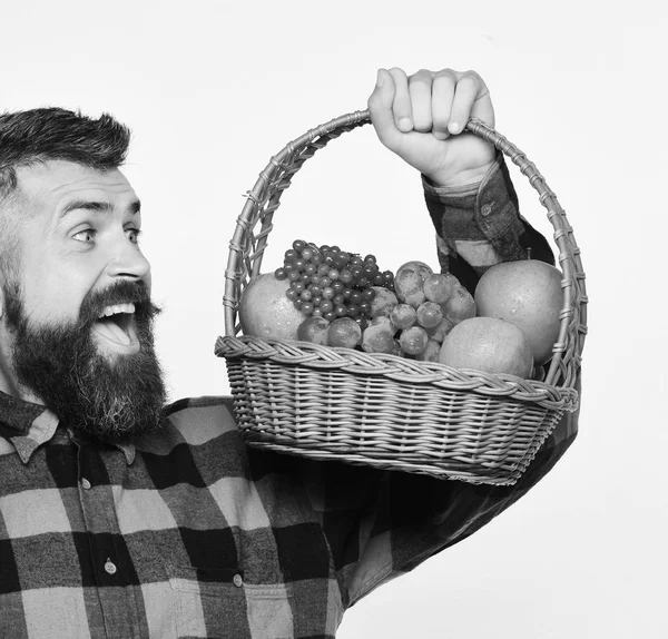 Hombre con barba sostiene cesta con fruta aislada sobre fondo blanco. El tipo tiene cosecha propia. Cultivos agrícolas y otoñales . —  Fotos de Stock