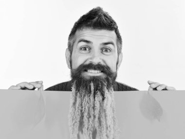 Berber, spikelet sakal. Yüz doğa sarı tutan sonbaharda gülümseyen hipster bırakır.