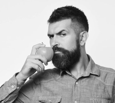 Tarım ve sonbahar ürünler kavramı. Sakallı adam beyaz arka plan üzerinde izole kırmızı meyve tutan