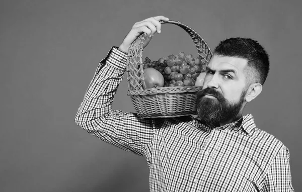 Hombre con barba lleva cesta con fruta aislada sobre fondo verde. Agricultor con cara sospechosa presenta manzanas, uvas y arándanos . —  Fotos de Stock