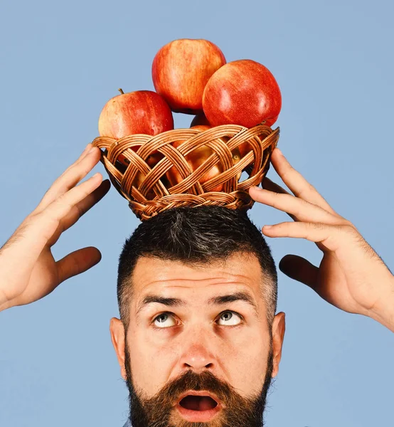 Άνδρας με γενειάδα κατέχει λυγαριά μπολ με φρούτα που απομονώνονται σε μπλε φόντο. Ο τύπος παρουσιάζει homegrown συγκομιδή. Αγρότης με συμπυκνωμένο πρόσωπο — Φωτογραφία Αρχείου