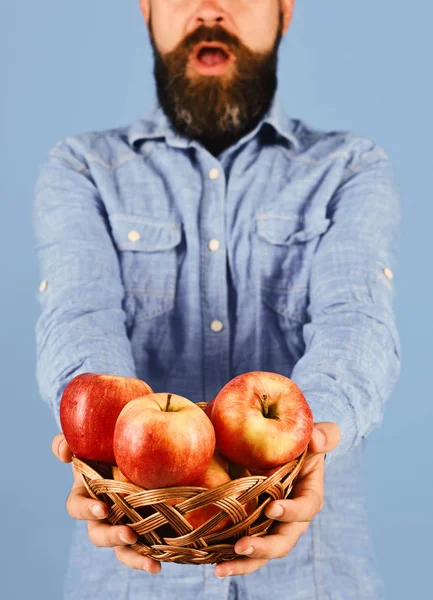 Hombre con barba sostiene cuenco de mimbre con fruta sobre fondo azul, desenfocado. Granjero con sorpresa en la cara sostiene manzanas rojas, de cerca . — Foto de Stock