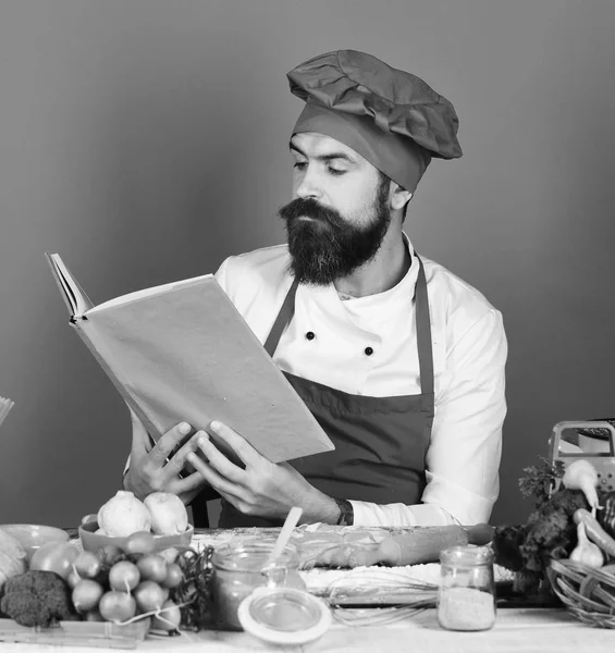 Cook with serious face in burgundy uniform reads cook book. Professional cuisine concept. Man with beard holds recipe book