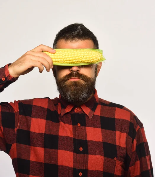 Bauer mit verstecktem ernsten Gesicht und gelbem Mais, der seine Augen bedeckt. Mann zeigt seine Ernte. Anbau- und Herbstpflanzenkonzept. — Stockfoto