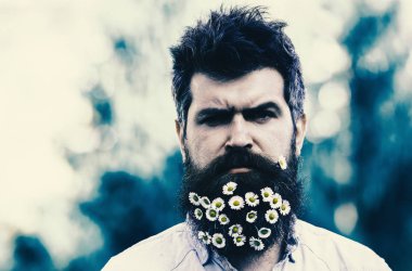 Erkeklik kavramı. Hippi katı yüz, Doğa arka plan, kopya alanı. İle adam sakal ve bıyık zevk bahar, yeşil ağaçlar arka plan. Sakal papatya veya papatya çiçekleri ile adam.