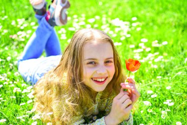 Child enjoy spring sunny day while lying at meadow with daisy flowers. Girl on smiling face holds red tulip flower, enjoy aroma. Girl lying on grass, grassplot on background. Spring break concept clipart