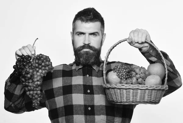 Farmer with serious face presents apples, cranberries and grapes.