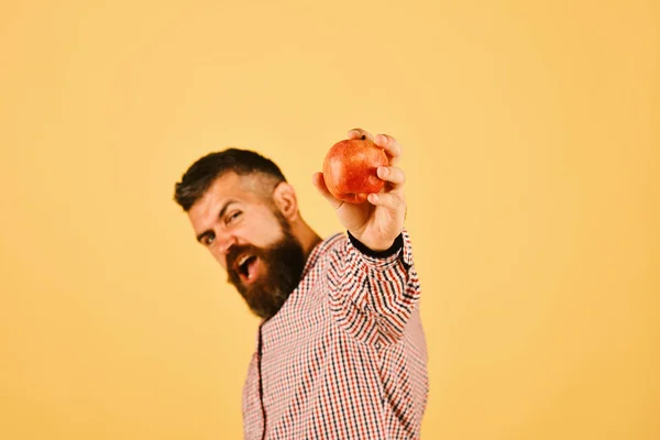 Guy presents homegrown harvest. Man with beard holds red apple