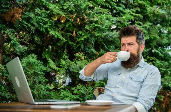 Take moment to enjoy life. Guy drinks coffee relaxing terrace branches background. Aroma cappuccino. Pleasant moment. Man bearded hipster make pause for drink coffee and relax while sit with laptop