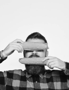 Sarı mısırlı, gizli yüzlü çiftçi.