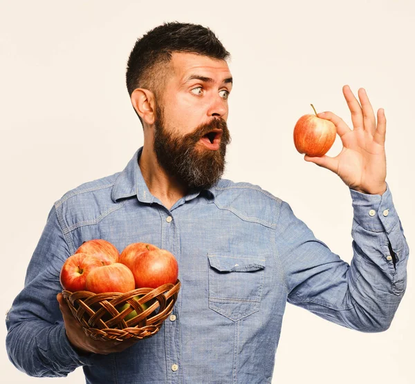 Concetto di agricoltura e colture autunnali. Il tizio presenta il raccolto casalingo. Contadino con faccia sorpresa tiene mela rossa. Uomo con la barba — Foto Stock