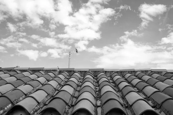 Miami, ABD pişmiş toprak kiremit çatı. Kiremit çatı üzerinde bulutlu mavi gökyüzü. Mimarlık ve tasarım. Klasik kil malzeme seramik kapaklı çatı katı. Koruma ve barınak kavramı — Stok fotoğraf
