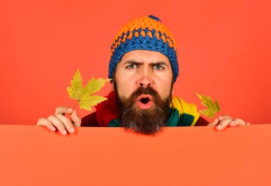 Şapkalı adam turuncu arka planda yeşil akçaağaç yaprakları tutuyor.