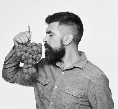 Bağcılık ve Bahçe kavramı. Winegrower rüya gibi yüzü olan küme üzüm kokuyor.