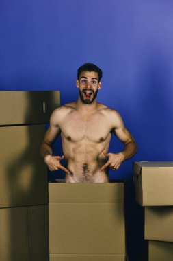 Maço kıl ve oynak yüz. Cinsellik ve teslimat kavramı. Adam tarafından karton kaplı testislerini işaret kutularının arasında