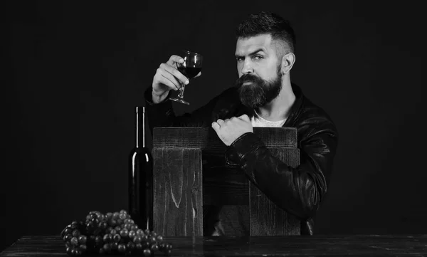Degustator z poważną twarz siedzi przez butelkę wina i ciemnych winogron. Pojęcia gdzie i degustacji. Sommelier pochyla się na drewnianym krześle. — Zdjęcie stockowe