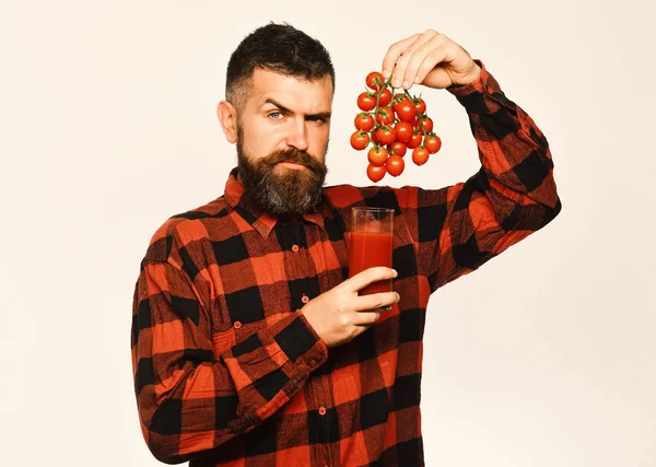 Guy innehar homegrown skörd. Bonde med berörda ansikte visar massa röda körsbärstomater — Stockfoto