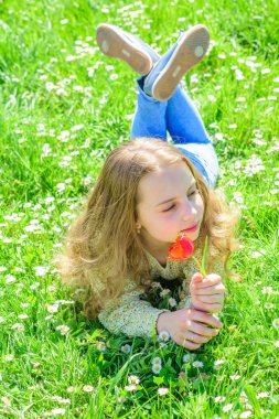 Kız sakin yüzündeki kırmızı lale çiçek güneşli bahar gününde tutar. Çocuk lale kokusu zevk çayır yalan ise, yakın çekim. Hassasiyet kavramı. Grassplot, çim arka plan yalan uzun saçlı kız