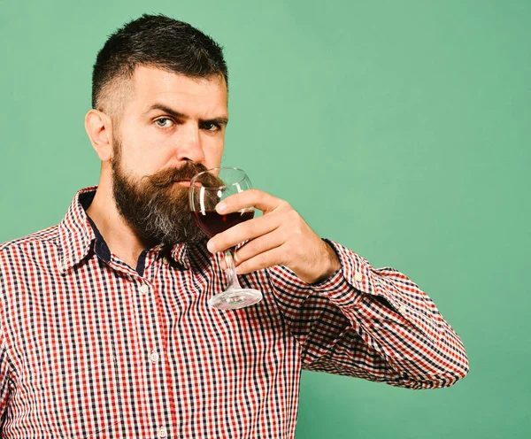 Vinodling och hösten koncept. Mannen med skägg dricker rött vin — Stockfoto