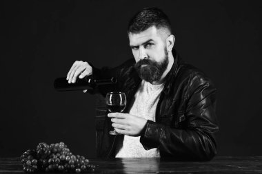 Ciddi yüzlü degustator bir demet koyu üzümün yanında oturur.