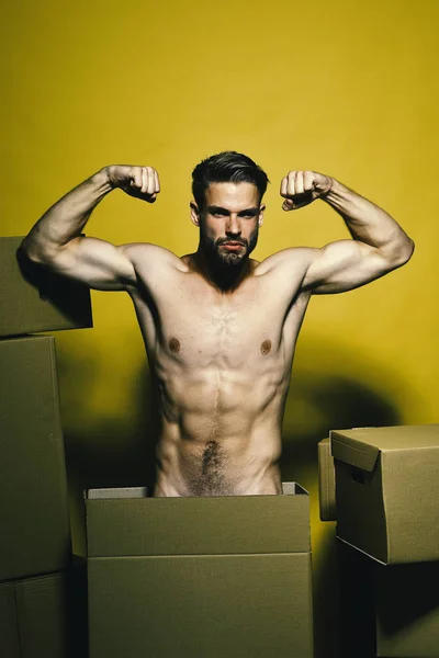 Facet z muskularnymi podstawkami nagi wśród pudełek. — Zdjęcie stockowe