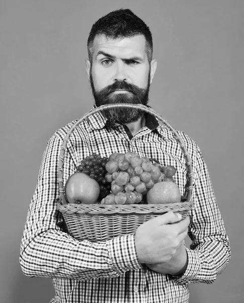 Landwirtschafts- und Gartenkonzept. Mann hält eigene Ernte. — Stockfoto