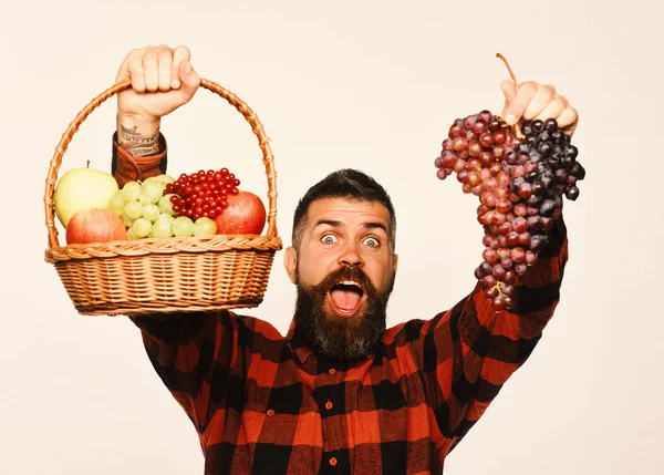 Ο τύπος με συγκομιδή. Αγρότης με έκπληξη πρόσωπο παρουσιάζει φρούτα — Φωτογραφία Αρχείου