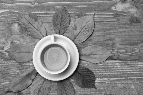 秋暖饮的概念.茶托上的热饮料 — 图库照片