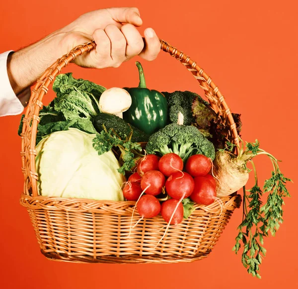 Αγρότης κατέχει λάχανο, ραπανάκι, πιπέρι, μπρόκολο, καρότο, μανιτάρι και μαρούλι. — Φωτογραφία Αρχείου