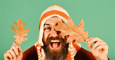 Şapkalı adam yeşil arka planda meşe ağacı yaprakları tutuyor.