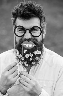 Uzun Sakal ve bıyık, ufuk yeşil renkli olan adam. Gözlük ve dudakları ile poz hippi neşeli yüzünde. Bahar kavramı. Adam güzel sakal papatya veya papatya çiçekleri ile görünüyor.