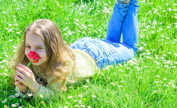 Concetto di allergia. Il bambino gode la fragranza di tulipano mentre si trova a prato. Ragazza con i capelli lunghi sdraiata su prato, sfondo erba. Ragazza sul viso sorridente tiene rosso fiore di tulipano nella soleggiata giornata primaverile — Foto Stock