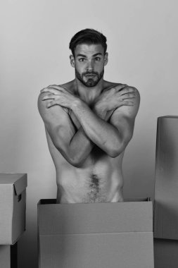 Tüylü maço ve utanmış yüzü çıplak vücudu örtüyor. 